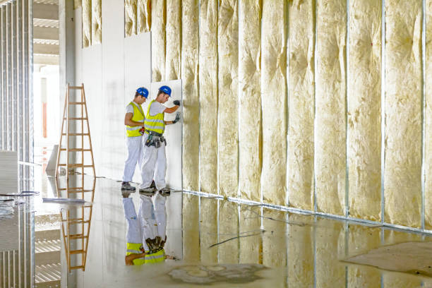 Best Garage Insulation  in Laurel Park, NC